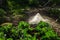 A poison sprayer with a telescopic tube sprays the spray onto the cabbage. Agriculture, gardening, vegetable garden