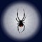 poisonous black widow spider and web on the moon. vector illustration