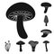 Poisonous and edible mushroom black icons in set collection for design. Different types of mushrooms vector symbol stock