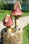 Poisonous mushrooms on hemp. Small fabulous skulpture in the city park