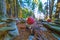 POISONOUS MUSHROOMS AND STACKING STONES IN THE WOOD.