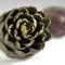 Poivrade Artichoke, cynara scolymus against White Background