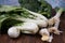 Pok choy leeks, onion, broccoli and garllic