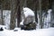 Pokaini forest in winter. Latvia. Ancient stones.