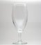 Pokal beer glasses isolate