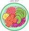 Poke bowl. Asian food illustration. Bright colorful realistic sketch. Salmon, avocado, rice. Vector art
