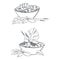 Poke bowls. Vector illustration