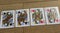 Poker cards on a wooden backround, set of queens of clubs, diamonds, spades, and hearts