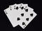 Poker hand straight Flush