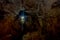 Pokhara, Nepal - September 12, 2017: Natural sun ligh entering from a small hole inside of the Bat Cave, in Nepali