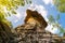 Poklicky rocks - unique sandstone table formation in Kokorin Protected Area, Czech Republic