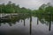 Pokomoke, Maryland: Pokomoke River State Park