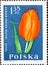 POLAND-CIRCA 1964 : A post stamp printed in Poland showing a colorful garden flower: Tulipa gesneriana