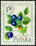 POLAND - CIRCA 1977: post stamp 1.50 Polish zloty printed by Republic of Poland, shows fruiting plant Bilberry