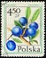 POLAND - CIRCA 1977: post stamp 4.50 Polish zloty printed by Republic of Poland, shows fruiting plant Prunus Spinosa