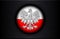 Poland eagle circle icon on black brushed metal background