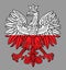 Poland eagle in national colors