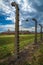 Poland - Electric fence line - Auschwitz Concentration Camp