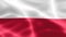 Poland flag - realistic waving fabric flag