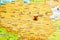 Poland national flag pinned on Europe map. Macro Close up picture of country on a colorful and Blurry World Map Globe