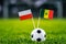 Poland - Senegal, Group H, Tuesday, 19. June, Football, World Cup, Russia 2018, National Flags on green grass, white football ball
