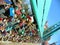 Poland, Wroclaw, Tumski island, padlocks on Tumsky bridge railings