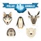 Polar Animals Set