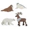 Polar animals set in cartoon style. Walrus, seal cub, polar bear and reindeer. Best for education. Vector illustrations