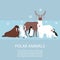 Polar and arctic animals and birds vector illustration. Winter, wild polar nature and travel concept. Penguin, polar