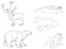 Polar arctic animals. The outline collection of reindeer, sea calf, white bear, walrus, and fox