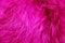 Polar arctic fox fur texture trendy color