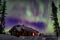 Polar arctic Northern lights Aurora Borealis activity over wooden hoseu in winter Finland, Lapland