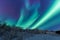 Polar arctic Northern lights aurora borealis sky star in Scandinavia Norway Tromso in the farm winter snow mountains