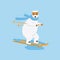 Polar bear alpine skiing through downhill. Extreme outside winter sport concept.