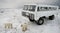 The polar bear came very close to a special car for the Arctic safari. Canada. Churchill National Park.