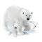 Polar bear and cubs.