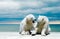 Polar bear cubs  on ice