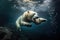 polar bear diving into freezing water after fish