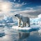 Polar bear on drift ice edge with snow a water in Arctic White animal in the nature