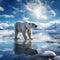 Polar bear on drift ice edge with snow and water in Norway sea. White animal in the nature habitat Europe