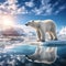 Polar bear on drift ice edge with snow and water in Norway sea. White animal in the nature habitat Europe