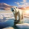 Polar bear on drift ice edge with snow and water in Svalbard White big animal in the nature Europe