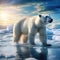 Polar bear on drift ice edge with snow and water in White animal in the nature Europe