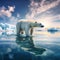 Polar bear on drift ice edge with snow and water in White animal in the nature Europe