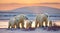 Polar bear family in Canadian Arctic sunset.