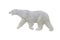 Polar bear figurine isolated on white background