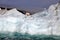 Polar bear and glaucous gull on iceberg