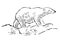 Polar bear hand drawn illustration. Walking polar bear, side view