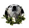 Polar bear head with serious and angry muzzle on a circle background with a composition of leaves and Magnolia flowers