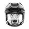 Polar bear Hockey image Wild animal wearing hockey helmet Sport animal Winter sport Hockey sport